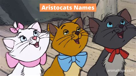 miu miu aristocats|list of aristocats names.